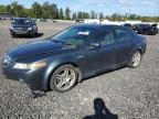 ACURA TL photo