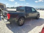 NISSAN FRONTIER C photo