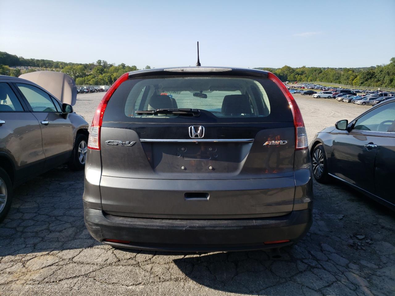 Lot #3009184361 2013 HONDA CR-V LX