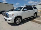 TOYOTA SEQUOIA PL photo