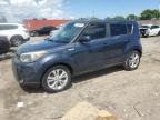 KIA SOUL + photo