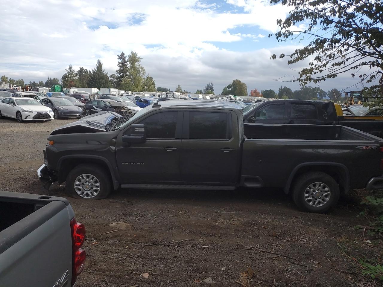 Lot #2953115623 2022 CHEVROLET SILVERADO