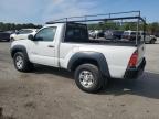 TOYOTA TACOMA photo