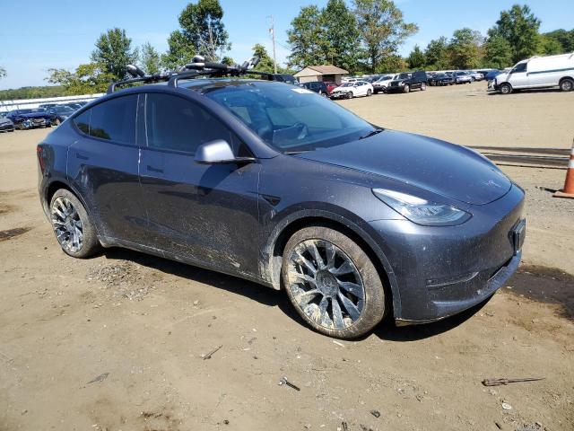 2021 TESLA MODEL Y - 5YJYGDEE2MF204252