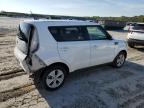 KIA SOUL photo