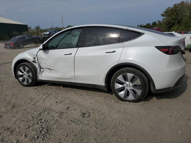 2023 TESLA MODEL Y - 7SAYGDEE2PF857090