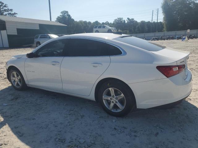 2019 CHEVROLET MALIBU LS - 1G1ZB5STXKF142208