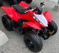 HONDA TRX90 X photo