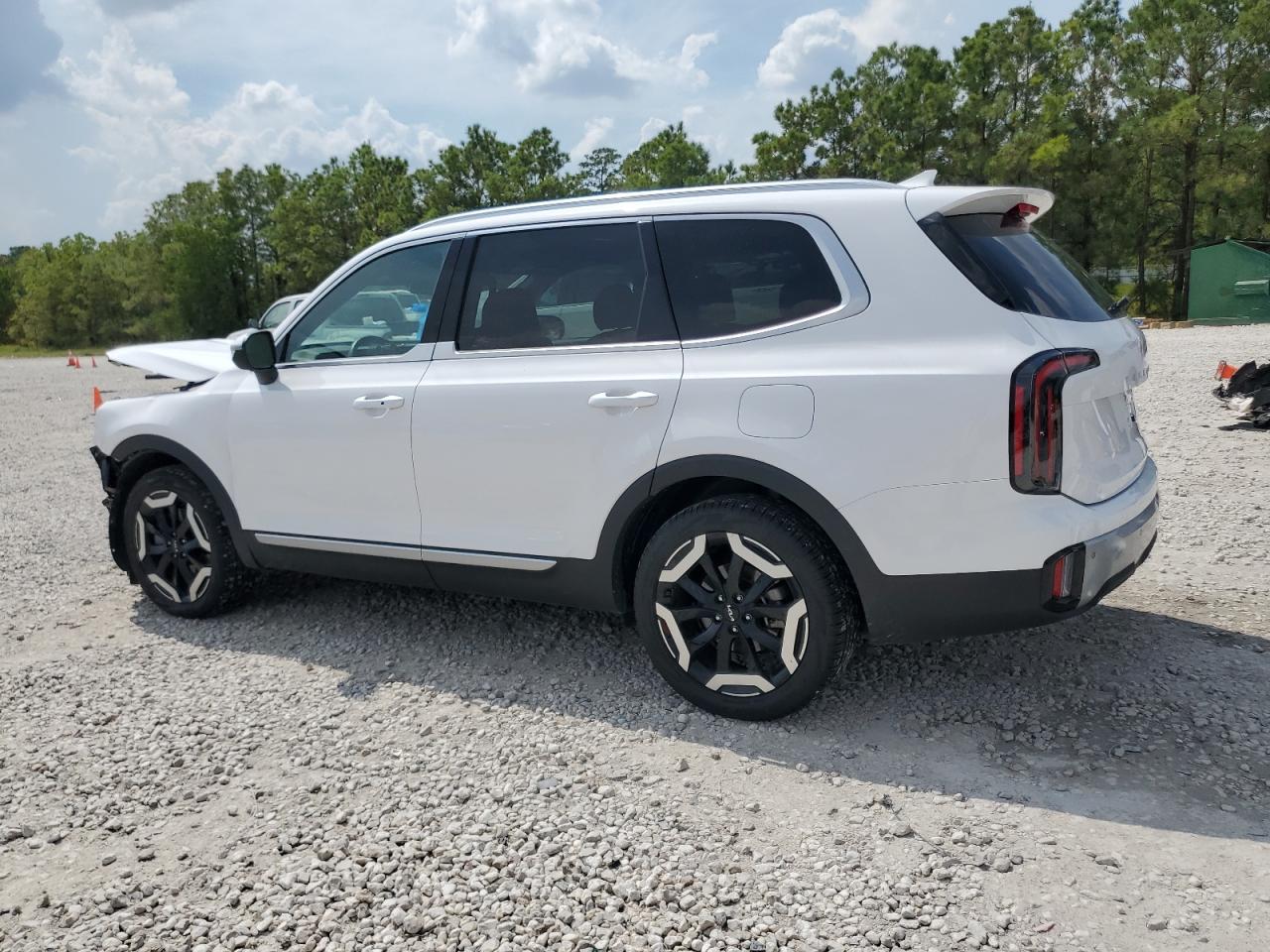 Lot #2943096450 2024 KIA TELLURIDE