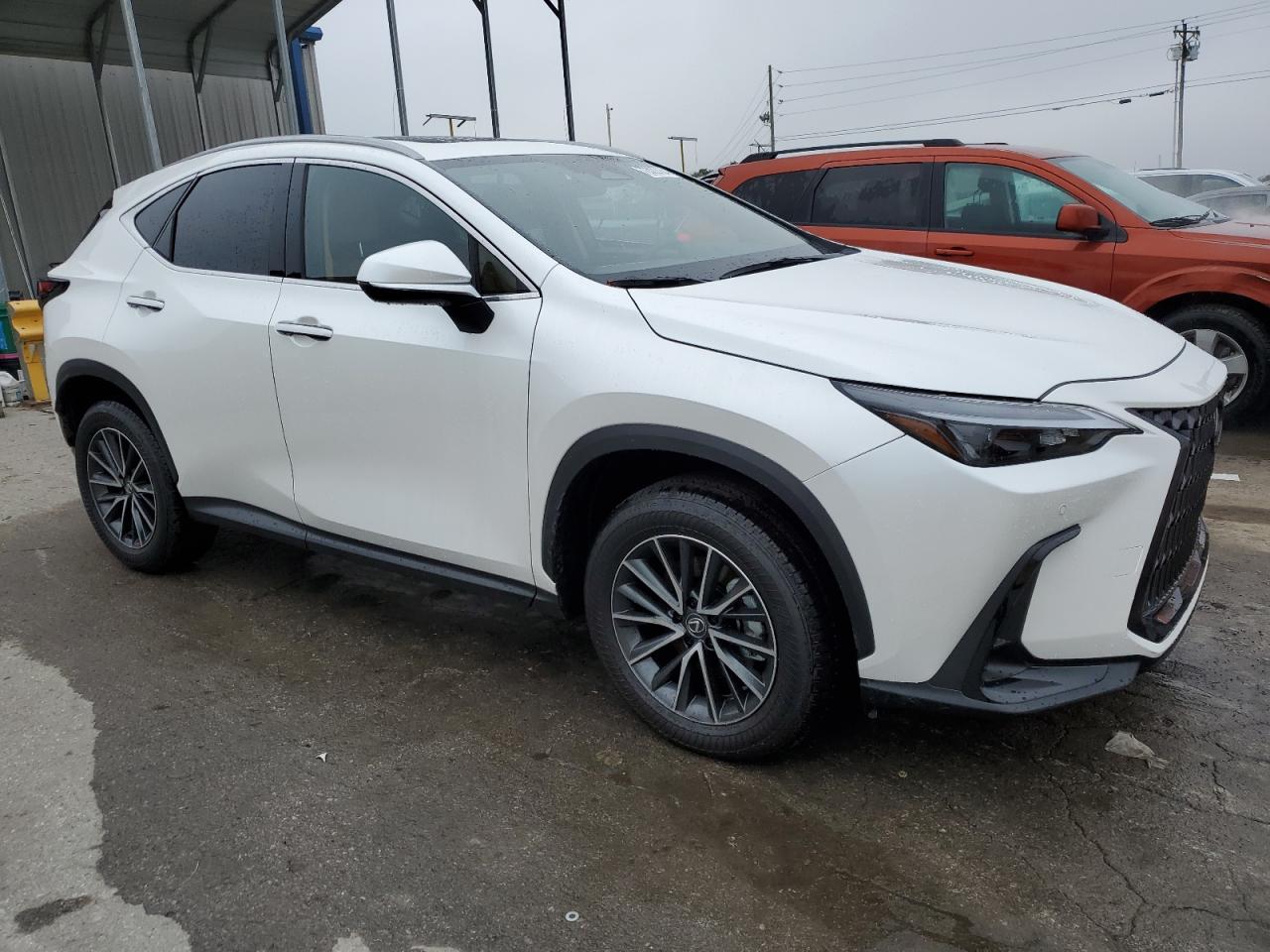 Lot #2986948753 2025 LEXUS NX 350 PRE