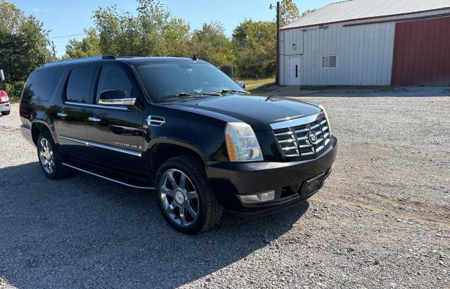 2007 CADILLAC ESCALADE E 1GYFK668X7R302156  73502814