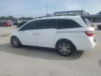 HONDA ODYSSEY EX photo