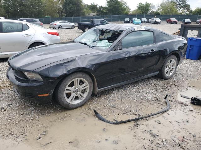 2010 FORD MUSTANG #2921573657