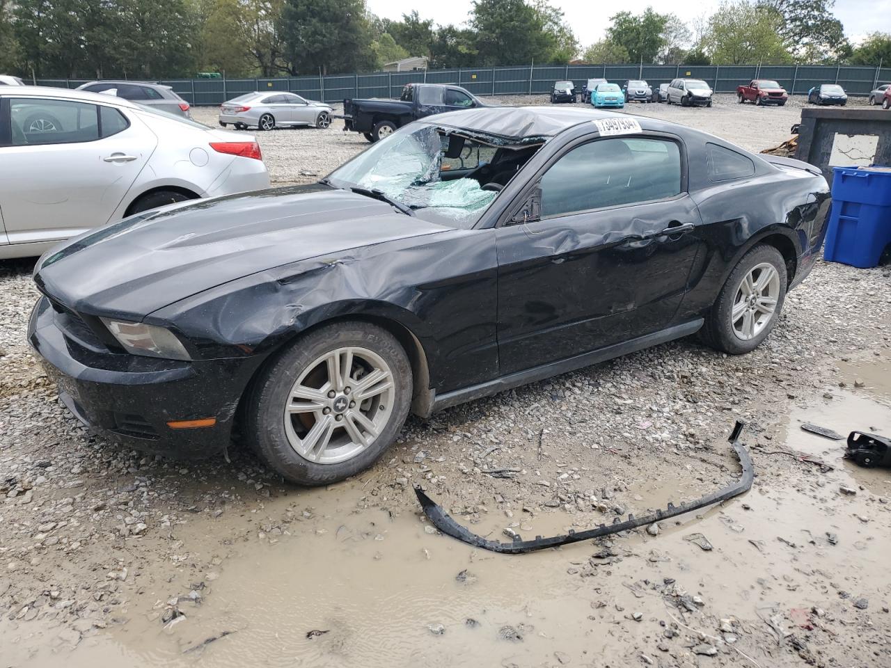 Lot #2921573657 2010 FORD MUSTANG