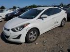 HYUNDAI ELANTRA SE photo