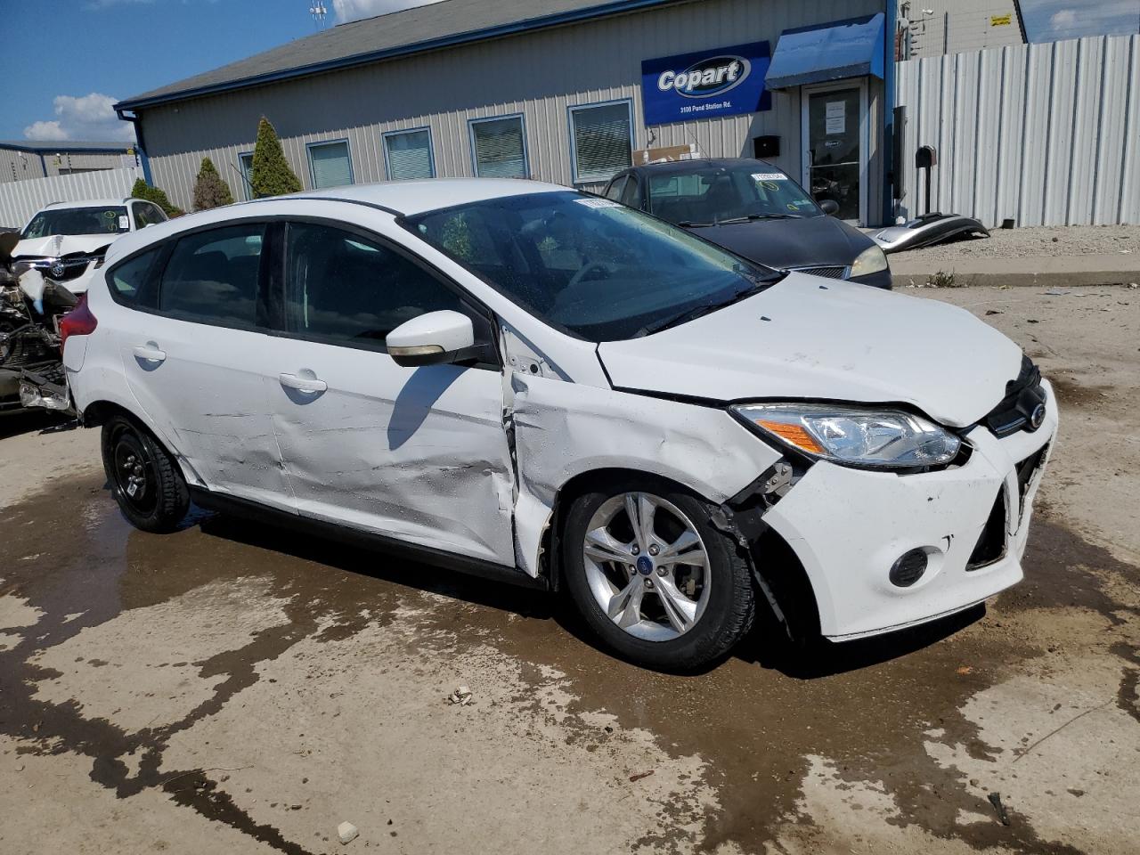 Lot #2921779521 2013 FORD FOCUS SE