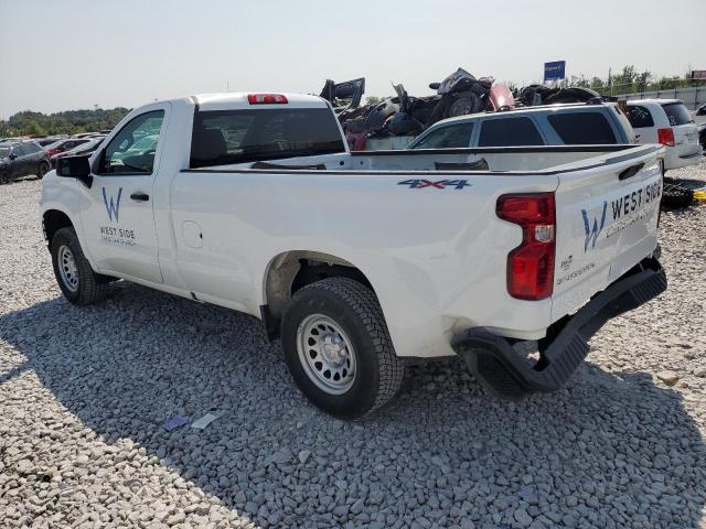 2019 CHEVROLET SILVERADO - 3GCNYAEF1KG269219
