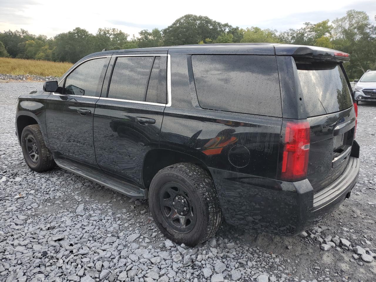 Lot #2909415663 2019 CHEVROLET TAHOE POLI