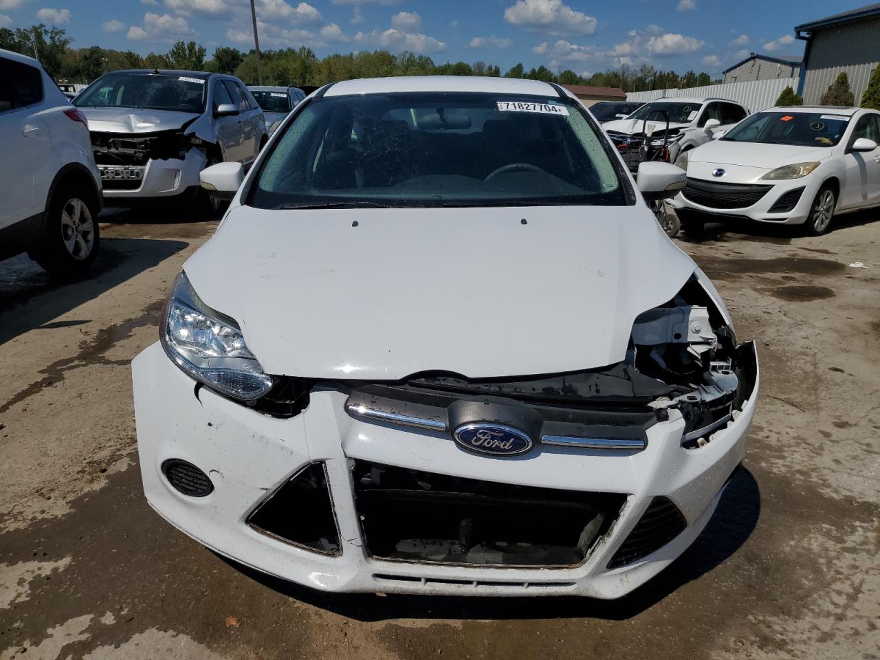 Lot #2921779521 2013 FORD FOCUS SE