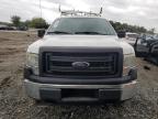 FORD F150 photo