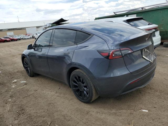 2022 TESLA MODEL Y - 7SAYGDEE2NF368539