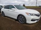 HONDA ACCORD EX photo