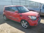 KIA SOUL + photo