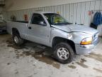 DODGE DAKOTA photo