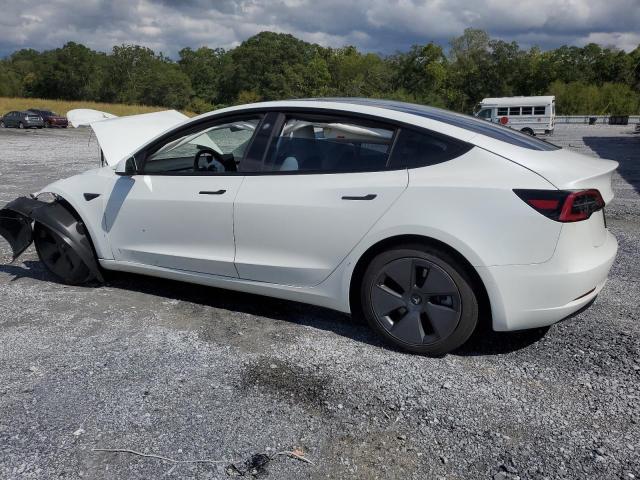 2021 TESLA MODEL 3 - 5YJ3E1EA4MF938838