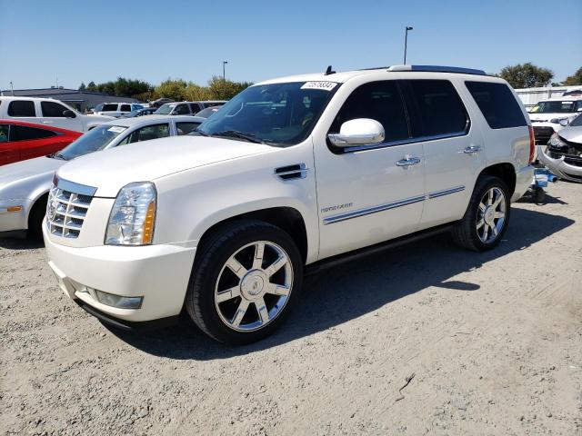 2011 CADILLAC ESCALADE P 1GYS4CEF8BR137188  72575834