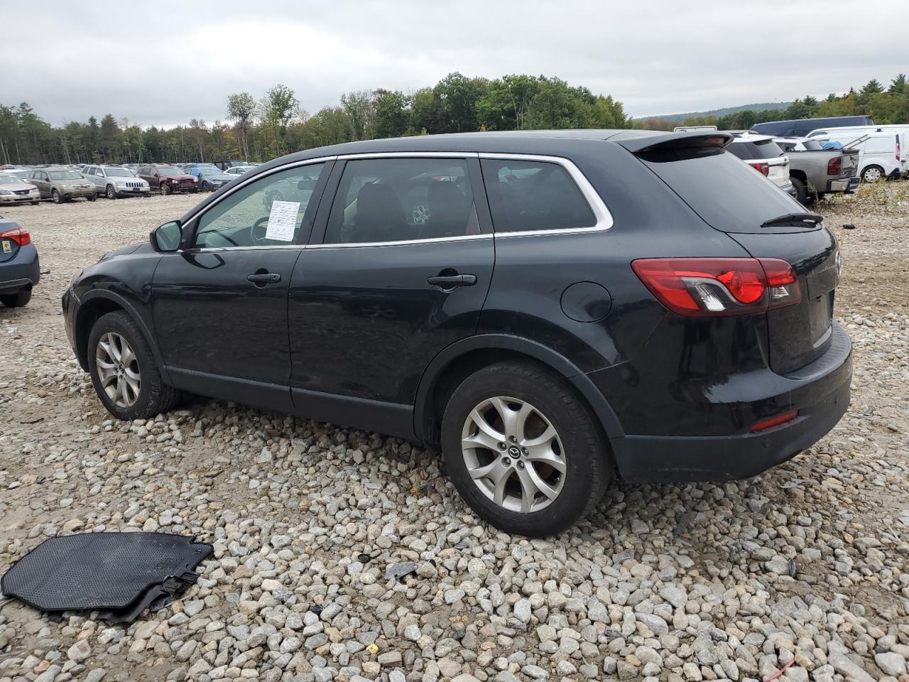 Lot #3014977006 2014 MAZDA CX-9 TOURI