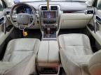 LEXUS GX 460 photo