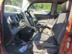 HONDA ELEMENT EX photo