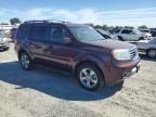 HONDA PILOT EXL photo