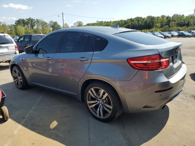 VIN 5YMGZ0C5XDLL29831 2013 BMW X6 no.2