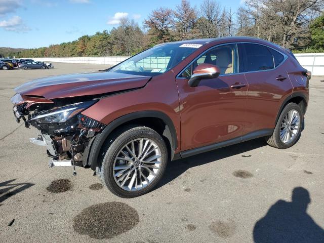 2025 LEXUS NX 350 PRE