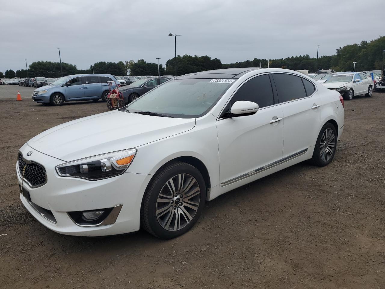 Lot #2857946245 2016 KIA CADENZA LU