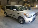 KIA SOUL + photo