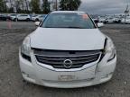 Lot #3025069242 2010 NISSAN ALTIMA BAS