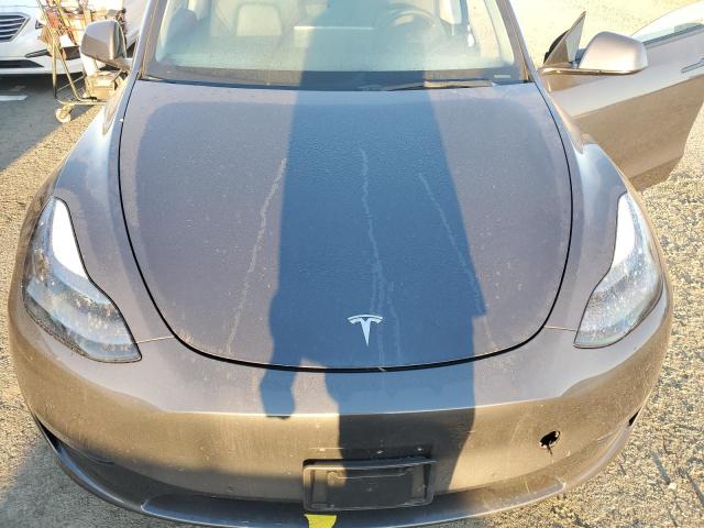 2022 TESLA MODEL Y - 7SAYGDEF8NF348739