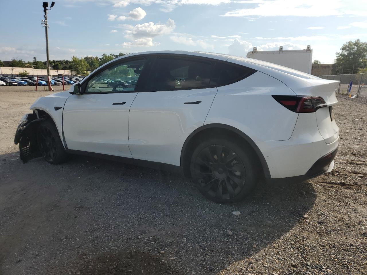 Lot #2972460680 2022 TESLA MODEL Y