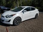 HYUNDAI ELANTRA SE photo