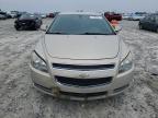 CHEVROLET MALIBU 1LT photo