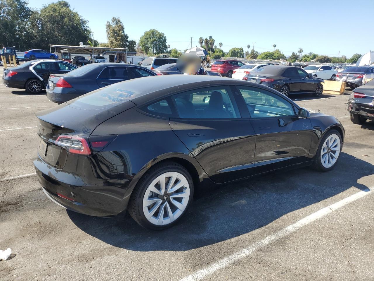 Lot #2989368561 2021 TESLA MODEL 3