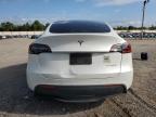 TESLA MODEL Y photo