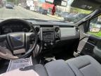 FORD F150 photo