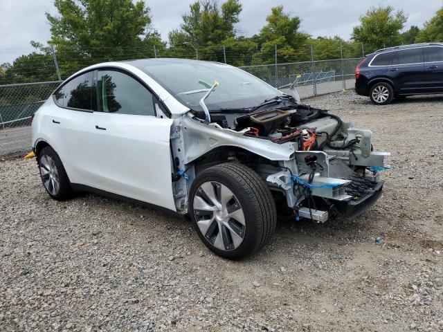 2021 TESLA MODEL Y - 5YJYGDEE6MF110066