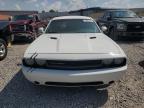 DODGE CHALLENGER photo