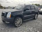 CADILLAC ESCALADE L photo