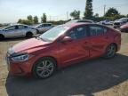 HYUNDAI ELANTRA SE photo